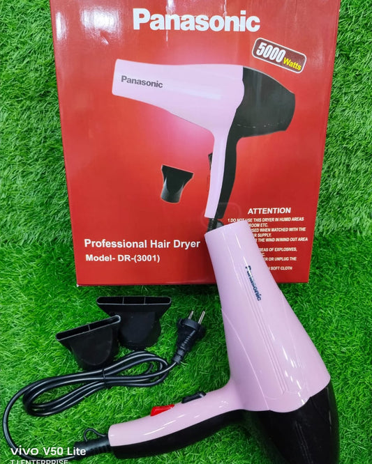 Panasonic Professional Hair Dryer